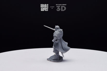 Last king from the North - Davale Games - 3D Printed with high quality resin for LOTR/D&D games