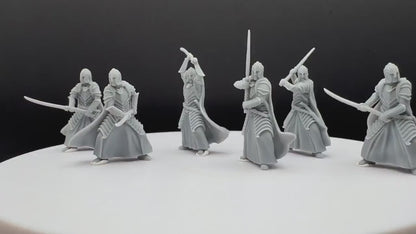 Bloody Warrior Elves Swordmen (Crests included) - Davale Games - 3D Printed with high quality resin for LOTR/D&D games