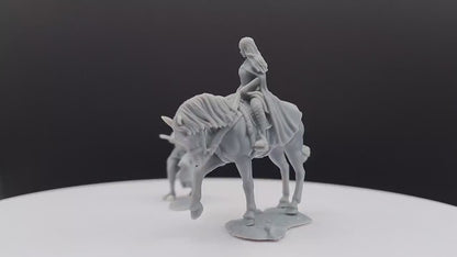 Bloody Elf Maiden - Foot and Mounted - Davale Games - 3D Printed with high quality resin for LOTR/D&D games