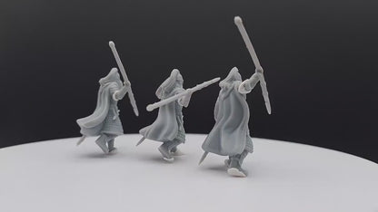 West Human Royal Guard - Foot - Davale Games - 3D Printed with high quality resin for LOTR/D&D games